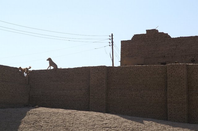 2007_egypttrip037